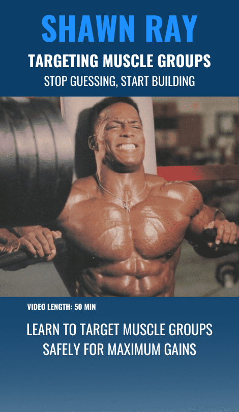 Bodybuilding Targeting Mucsle Group